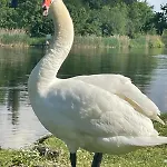 Seenähe 300 Meter 126 Qm Wohnfläche 6 Betten