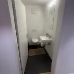 Seenähe 300 Meter 126 Qm Wohnfläche 6 Betten * Rorschacherberg
