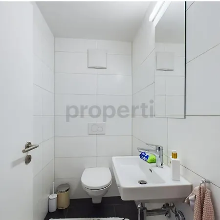 Seenaehe 300 Meter 126 Qm Wohnflaeche 4-6 Betten Apartment Rorschacherberg