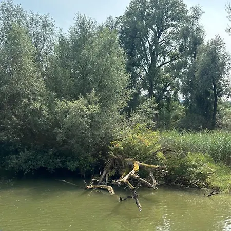 Lägenhet Seenaehe 300 Meter 126 Qm Wohnflaeche 6 Betten Rorschacherberg