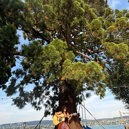 Seenaehe 300 Meter 126 Qm Wohnflaeche 6 Betten Apartament Rorschacherberg