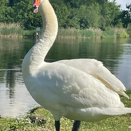 Seenaehe 300 Meter 126 Qm Wohnflaeche 6 Betten