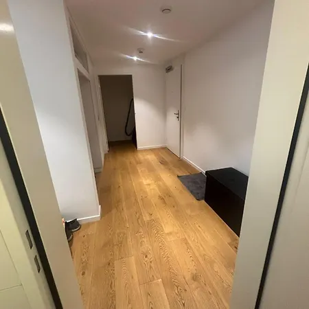 Seenaehe 300 Meter 126 Qm Wohnflaeche 6 Betten * Rorschacherberg