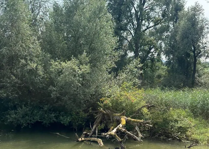 Appartamento Seenaehe 300 Meter 126 Qm Wohnflaeche 6 Betten Rorschacherberg