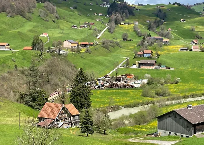 Seenaehe 300 Meter 126 Qm Wohnflaeche 6 Betten * Rorschacherberg