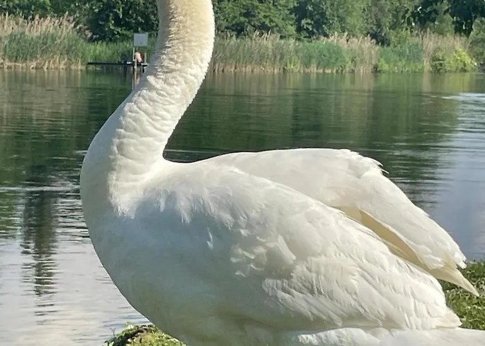 Seenaehe 300 Meter 126 Qm Wohnflaeche 6 Betten